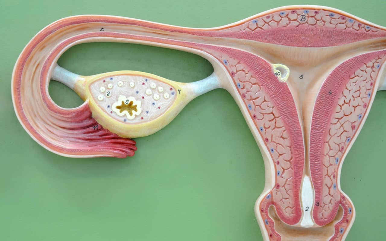 The choice of tactics for the treatment of uterine leiomyoma
