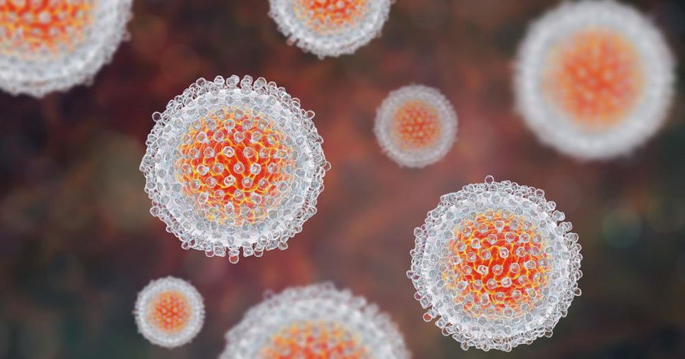 Все, что нужно знать о гепатитах