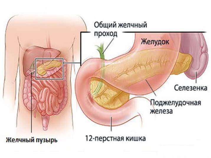 Що таке холестаз?