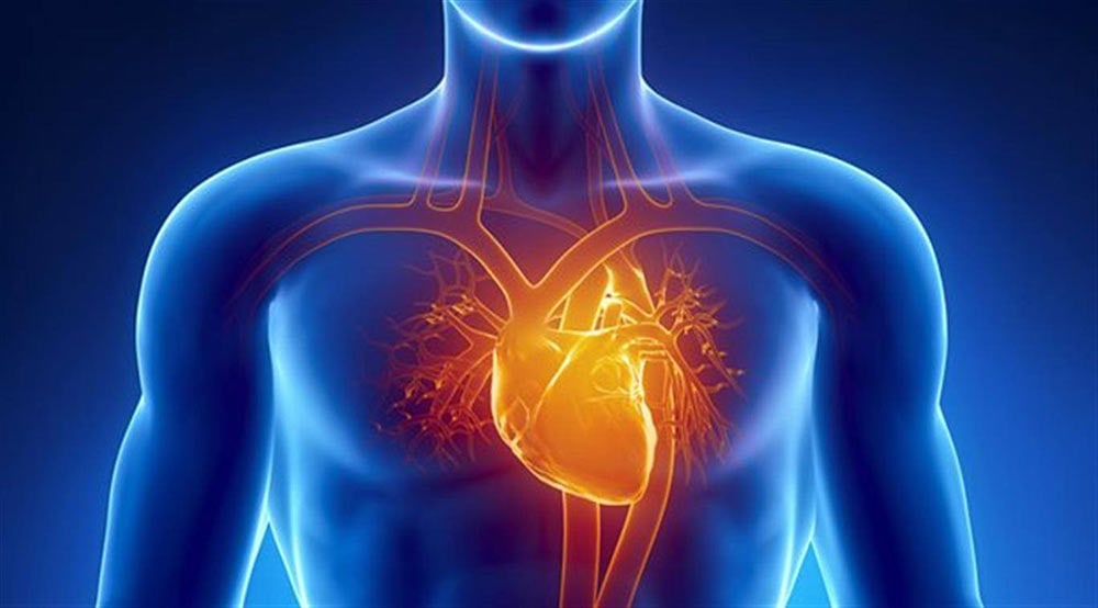 Здоровий спосіб життя та запобігання серцевим захворюванням